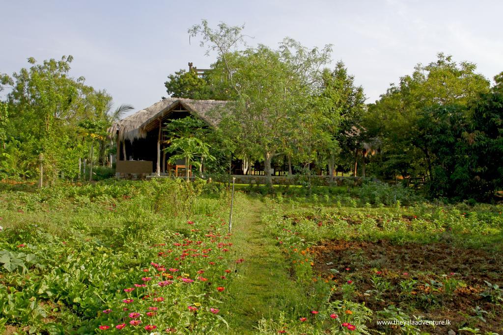 The Yala Adventure Hotel Tissamaharama Exterior photo