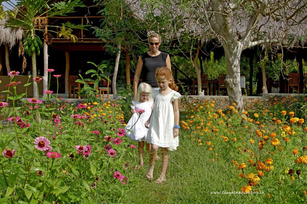 The Yala Adventure Hotel Tissamaharama Exterior photo