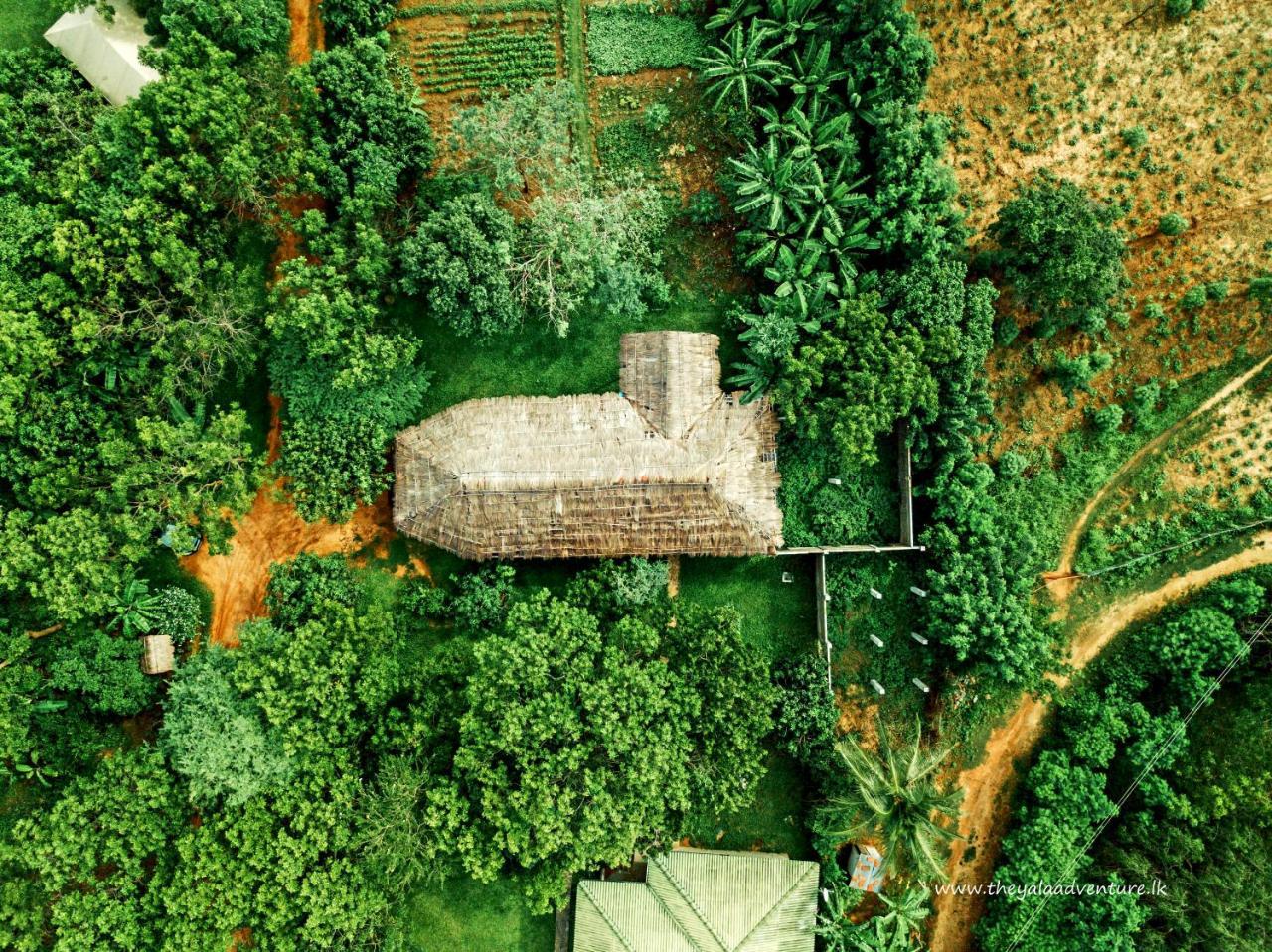 The Yala Adventure Hotel Tissamaharama Exterior photo