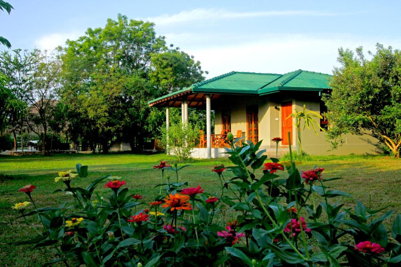 The Yala Adventure Hotel Tissamaharama Exterior photo